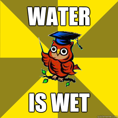 water-is-wet-meme.jpg